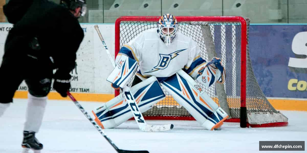 介绍BB贝博艾弗森